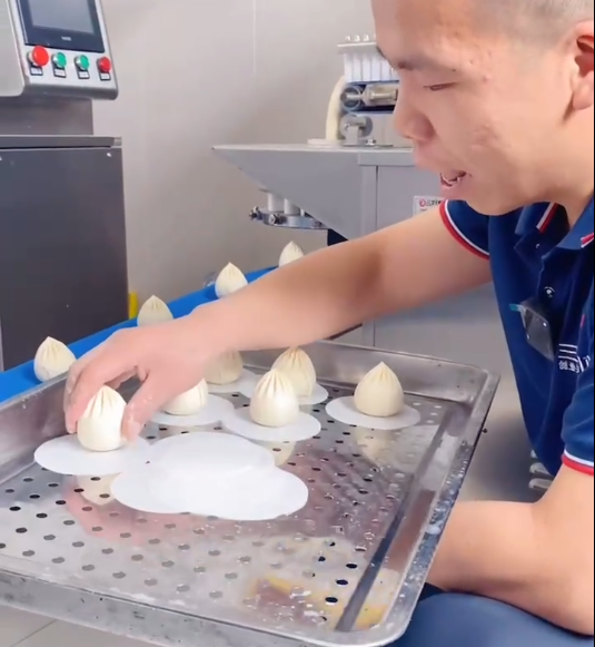 仿手工包子機(jī)制作老面包子