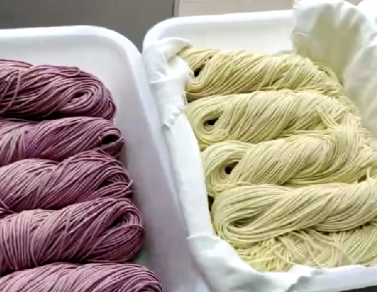 果蔬雜糧面條機(jī)怎么使用