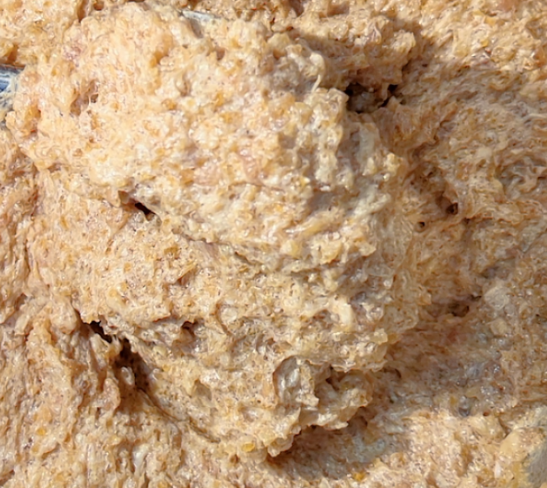 包子機怎么做帶湯的包子